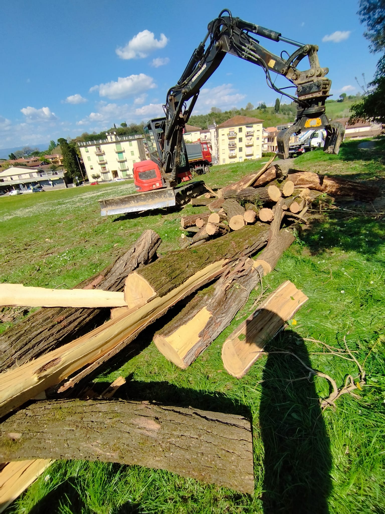 Lavori forestali con escavatore